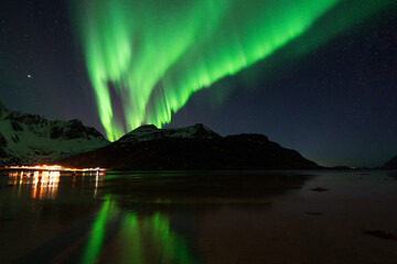 Northern lights with reflection (Lofoten, Norway)