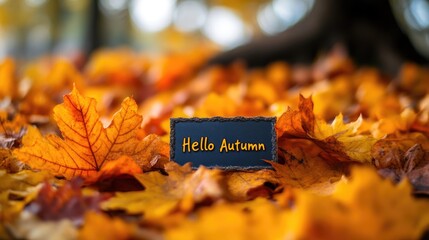 Celebrating Fall: Hello September Season