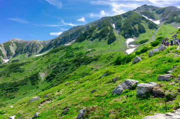 Fototapeta premium 立山