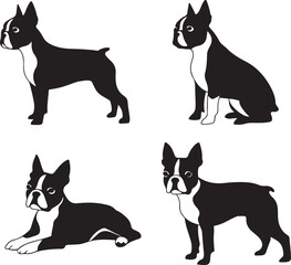 Boston Terrier Dog Cartoon Silhouette Vector Bundle