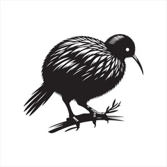 kiwi bird silhouette vector
