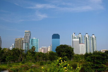 view of skyscrapers from a park in Bangkok