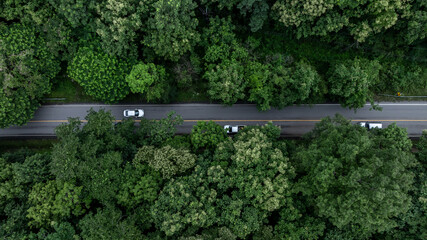 Electric vehicle car in forest road deep rainforest tree with green tree forest view from above, Aerial view electric vehicle ev car in forest asphalt road, EV car on road middle of forest tree.