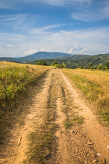 Embark on a scenic journey along a dirt road, exploring natures beautiful landscapes