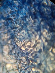 tissue papter udner the microscope