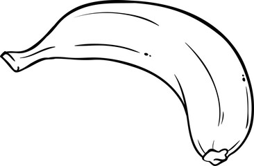 Banana Fruit  Outline Illustration. Organic natural nutritional healthy food ingredient, vegetarian diet product. 