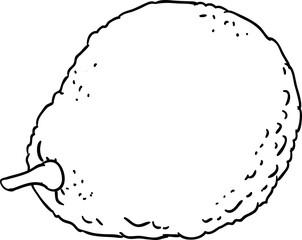 Avocado Fruit Outline Illustration