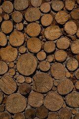 wall texture round cut wood