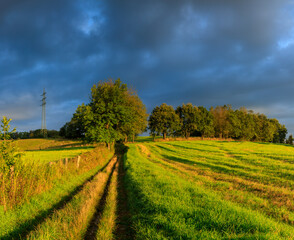 Naklejka premium road in the field