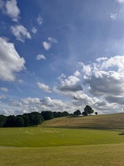 British summer cricket game