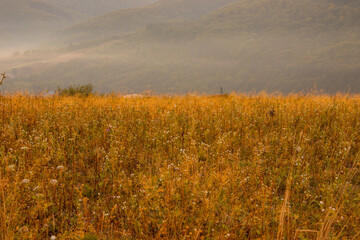 A Serene Sunrise Over a Beautiful Mountainous Landscape Adorned with Colorful Wildflowers