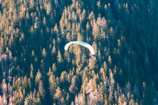 Paraplan and deltaplan in alps over a ski resort