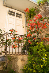 Beautiful flowers at the entrance to the house.