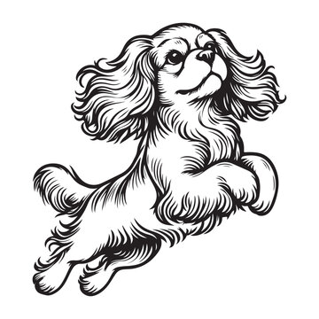 recommend clip art: Line art of Cavalier King Charles Spaniel Dog jumping vector