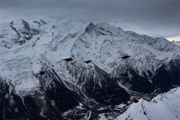 crows over a ski resort. drama sky. high resolution photo.