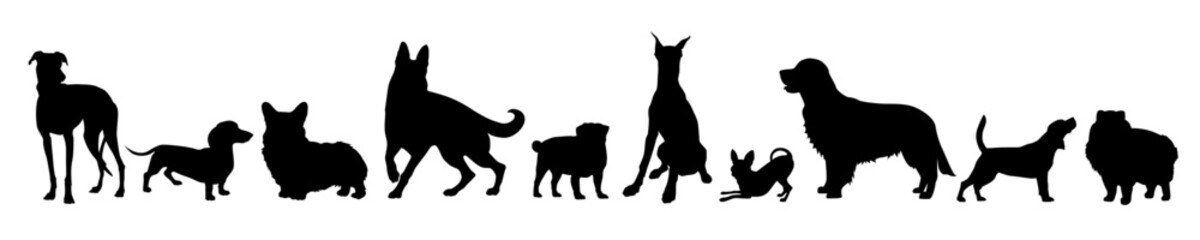 Vector collection of black dog breeds silhouettes isolated on white background includes labrador, corgi, pug, golden retriever, pomeranian spitz, chihuahua etc.
