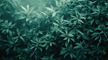 Ethereal foliage forming mesmerizing backdrop 