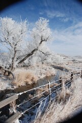 Winter in Wyoming 