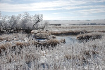 Winter in Wyoming 