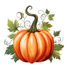 Watercolor Pumpkin with Vine Isolated on a Transparent Background