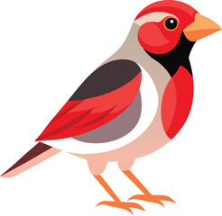 red billed quelea bird vector with white background