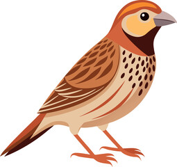 quelea bird vector with white background