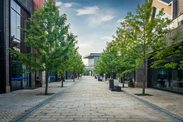 Fototapeta premium Serene Urban Avenue with Lush Trees and Modern Architecture