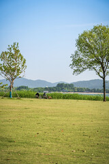 Peaceful Lakeside Picnic in Park