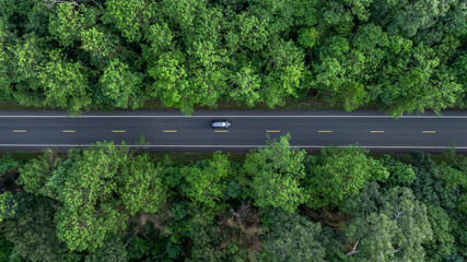 Electric vehicle car in forest road deep rainforest tree with green tree forest view from above, Aerial view electric vehicle ev car in forest asphalt road, EV car on road middle of forest tree.