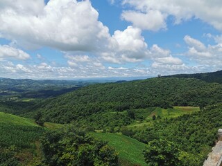 Obraz premium Coffee, Sky Road, Mountain View, Thailand