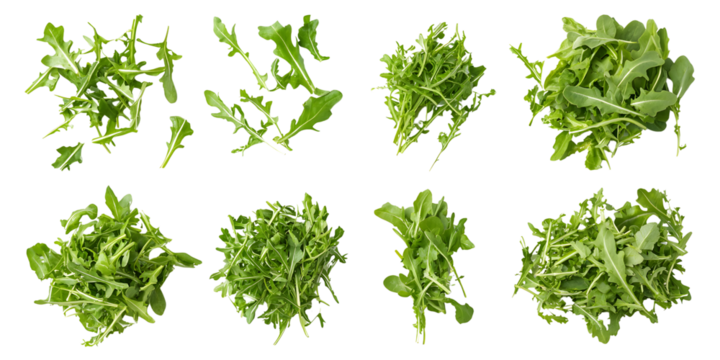 Fresh green rocket salad leaves isolated transparent background