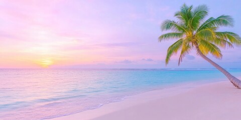 Beautiful spacious view of the tropical coast with palm trees and sandy beach at sunset,concept for summer vacation,