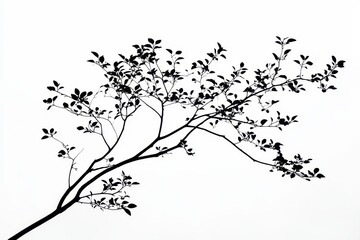A silhouette of a branch with leaves against a white background, emphasizing nature's beauty.