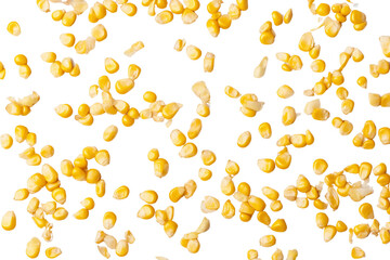 Pattern of yellow corn seeds scattered in isolated, transparent background