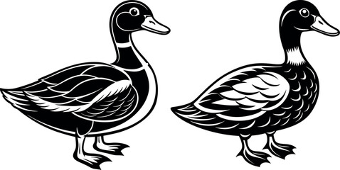 duck silhouette  isolated on white background
