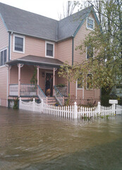 House seen with major flooding and owner with dog waving from her porch.