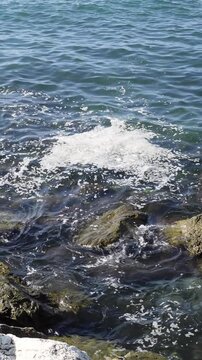 Vertical shot of large scum of dirt foam on the water surface of the polluted ocean crashing against rocky outcrops on a contaminated coastline. Dirty foam and debris swirl around rugged stones in the
