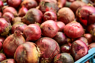 red onion at Holesovice Market, Holesovicka trznice in Prague, lively marketplace with stalls selling fruit, vegetables, flowers, herbs, spices, cheese and baked goods in Prague, Czech Republic