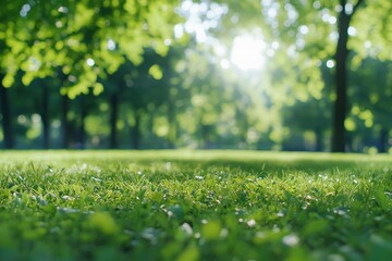 Naklejka premium City lawn view. Green nature in spring eco garden. Summer abstract blur background. Urban trees leaves Light blurry out focus bokeh. Soft plant. with generative ai