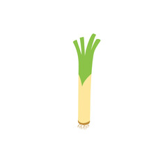 illustration of leek plant