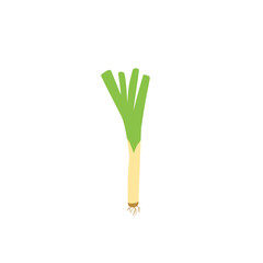 illustration of leek plant