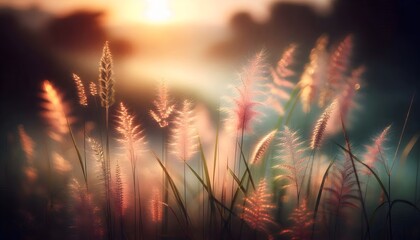 Praderas en Amanecer