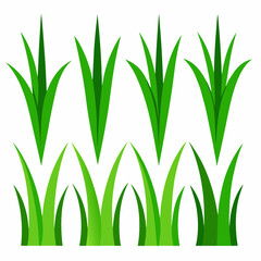 green grass isolated on white, Grass Vector, Green Grass