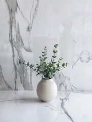 Fototapeta premium Vase of potted succulent in marbled ceramic pot, set on a reflective surface.