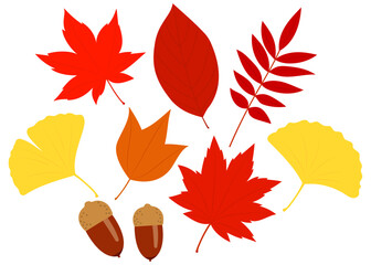 秋らしい紅葉した葉っぱのイラストセット