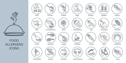 Food allergens set, eco food