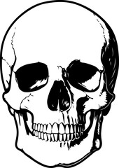 Illustration of a skull. Design element for poster, card, banner, sign. Vector illustration