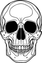 Illustration of a skull. Design element for poster, card, banner, sign. Vector illustration