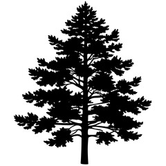 Pine Tree Silhouette Isolated Vector, Christmas tree