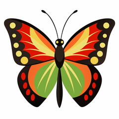 butterfly on a white background